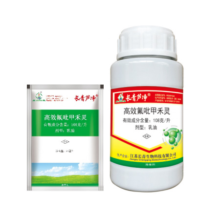 新葡的京集团8814芦净?